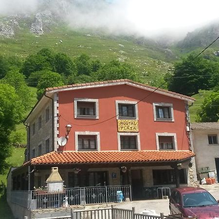 Hostal La Plaza Tielve Exterior foto